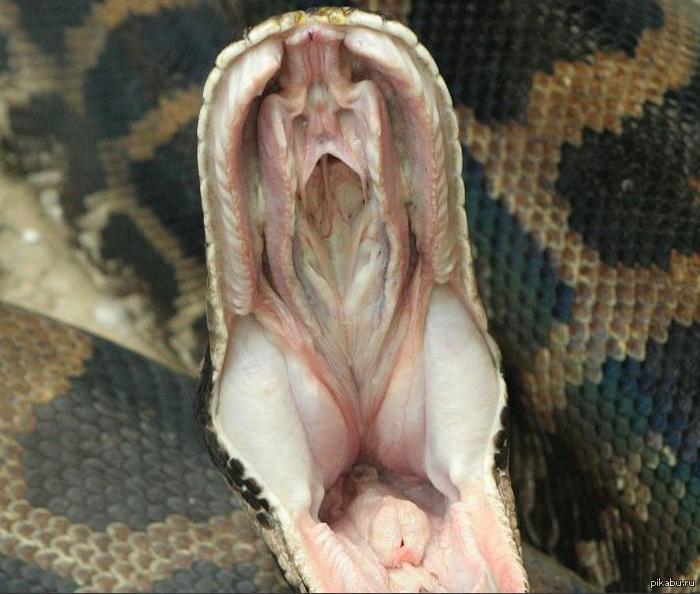     ():     ?  Upd:    -    