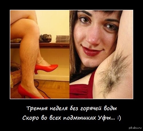     ... :) 