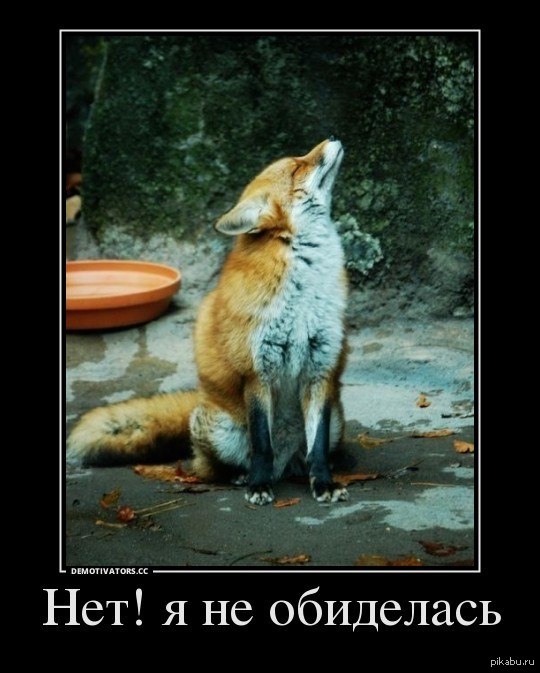 Перешёл на Хром