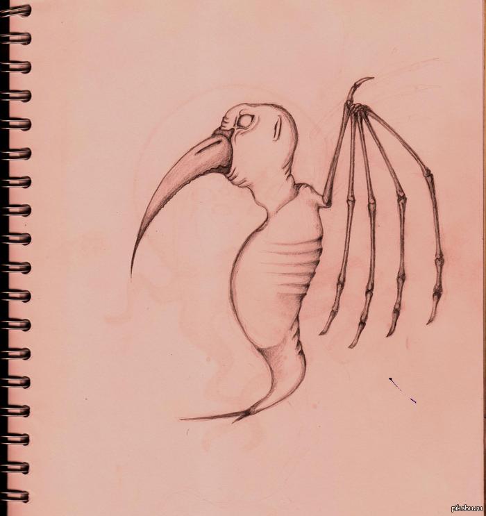 ��� ���� ���� ������������ ��������