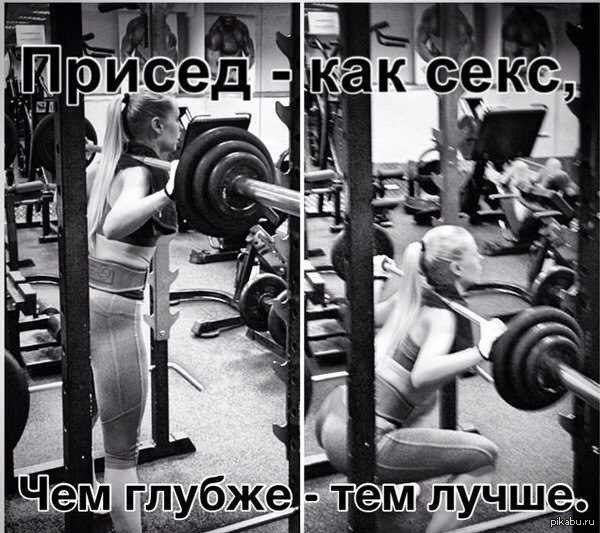 Приседания смешные картинки
