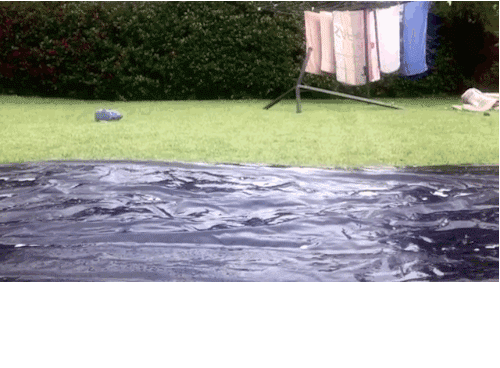 Sexy Slip And Slide