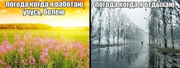 Картинки Смешные Про Погоду