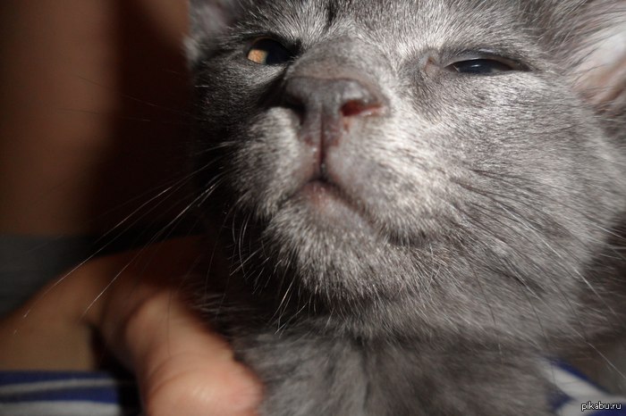 �� ���� �� ���� ������?