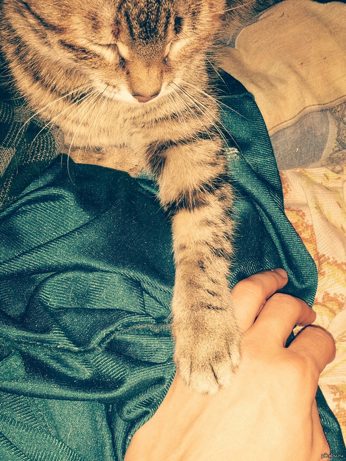 ��� ������� �������