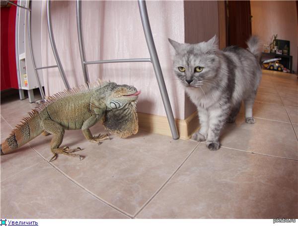 ������, ��� ��� �� ������!