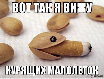 Именно так | Пикабу
