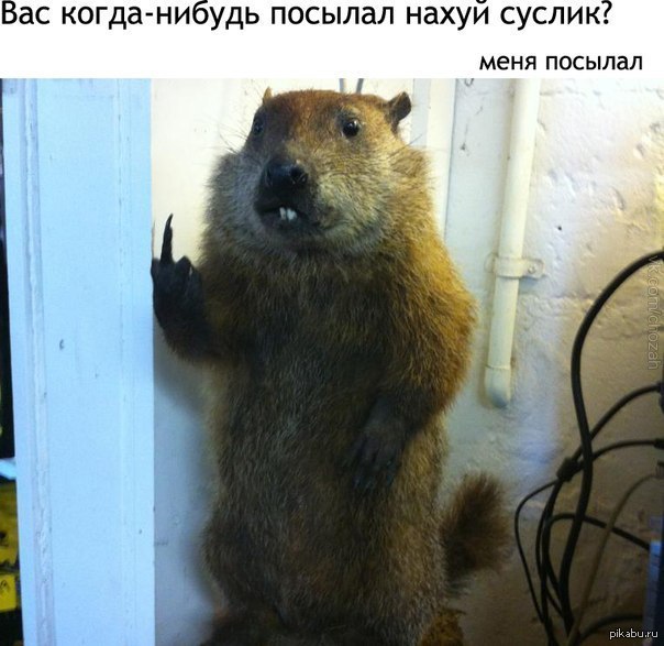 ������� ������.