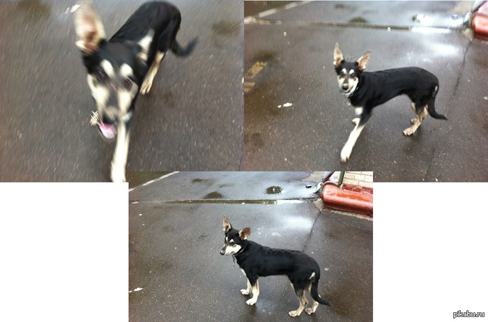 � ������ ����� ����� �� ������������ �����, ����� �� ������ � 1384, �� ������ ������ ������, � ����������� ���������.