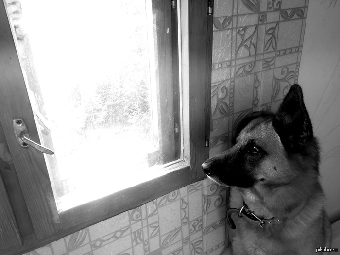 � ���� ������, � � ���� ������ ������.