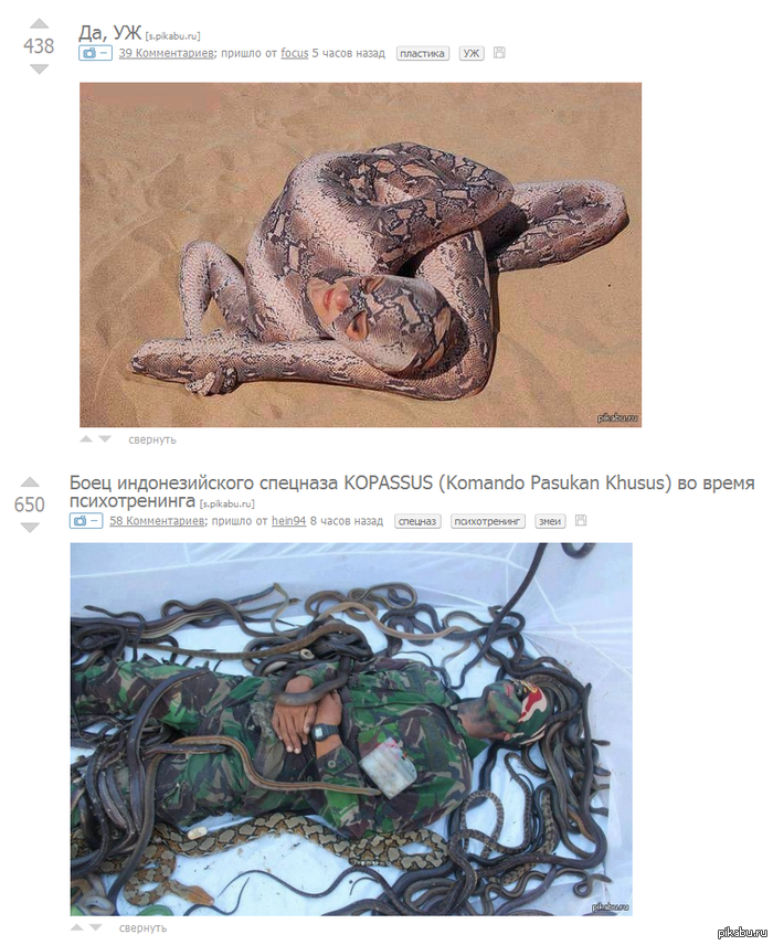 ��� ����� �������������� ��������