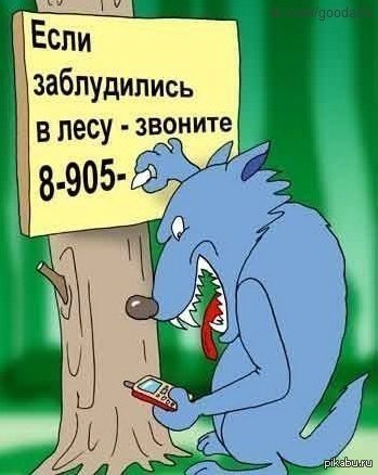 treacherous wolf - Wolf, Phone number