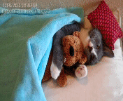 ���� ���������!