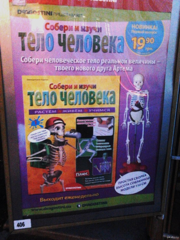 Тело человека