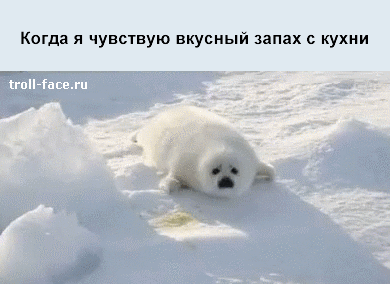 ����� � �������� ������� ����� � �����