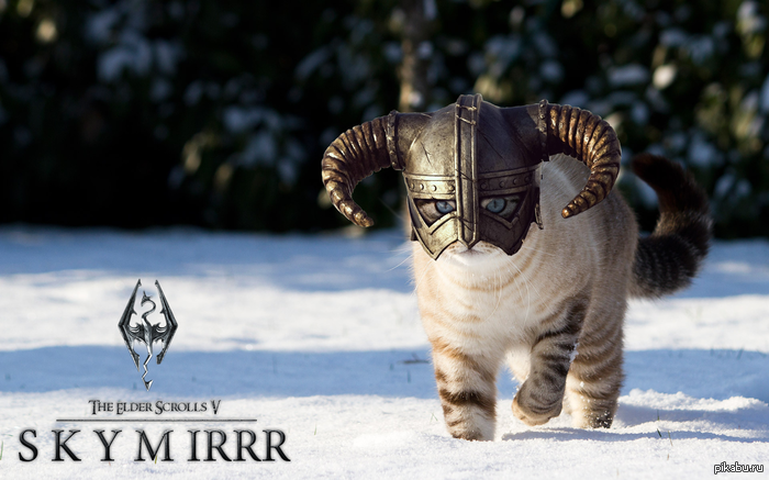 ������������� ��� � HD