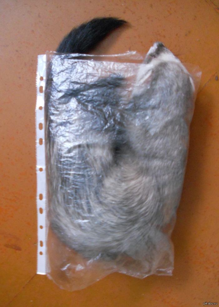 �������������� ����, ����������