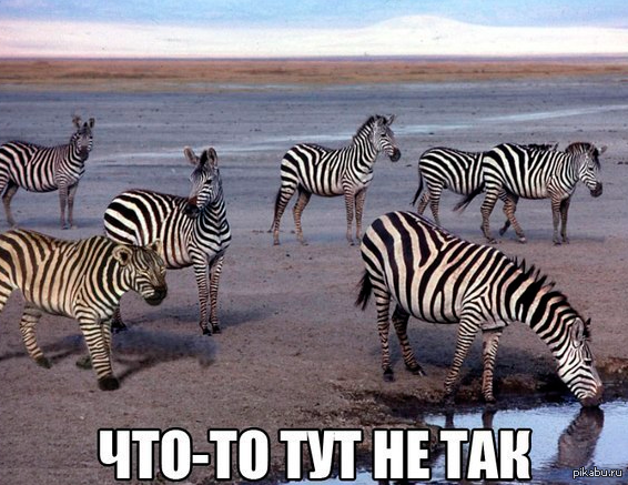 Что то тут не так.... | Пикабу