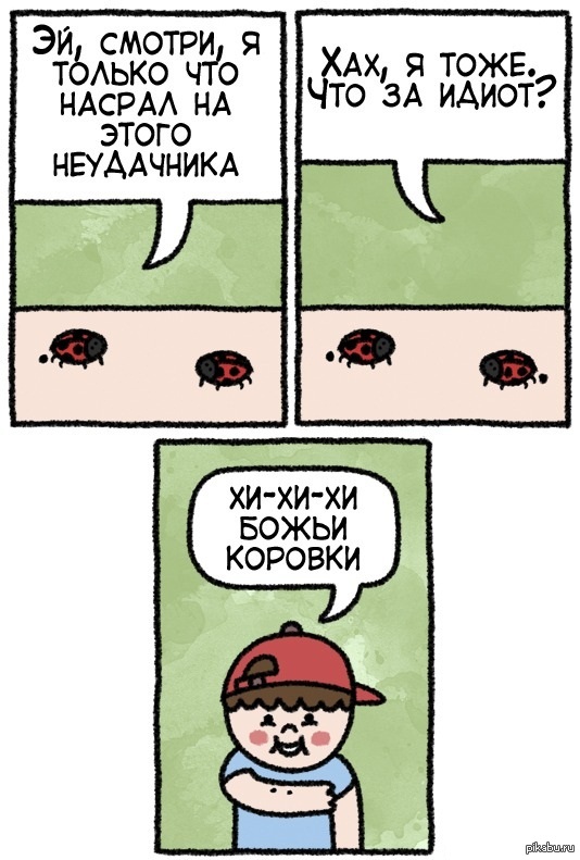 Божьи коровки | Пикабу