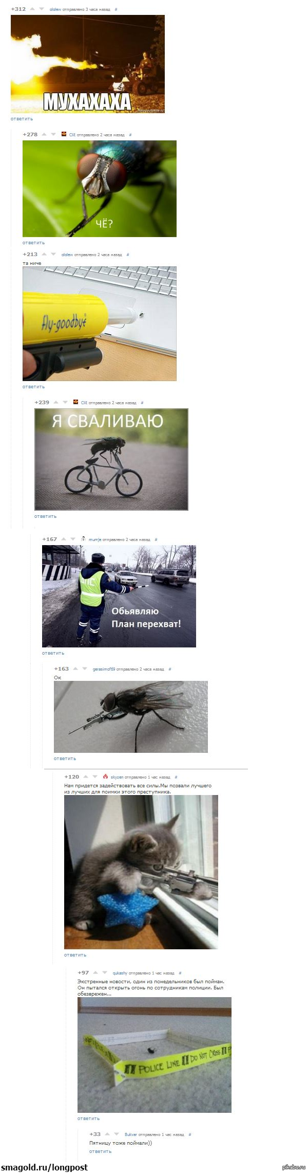 �������� �����