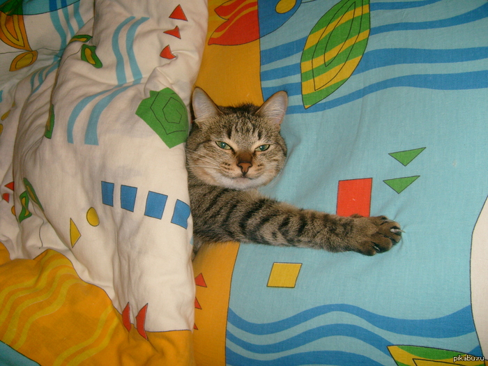 �������! ������ � ���� � �������, � �� �� �������!