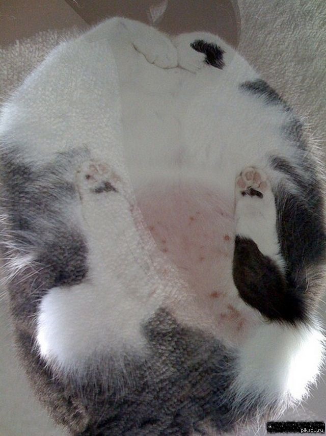 �� � �������!