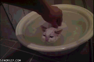 "������� �����" � ��������� ������ ��������