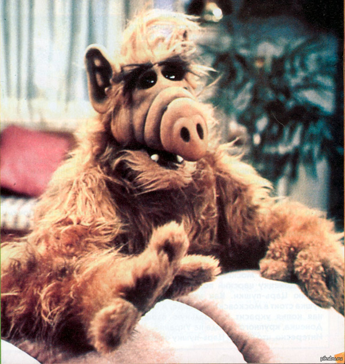 Помогите пожалуйста, скиньте пожалуйста анкеты на получение загран паспорта нового образца для взрослого, для ребенка до 14 и с 14 до 18