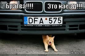 !   ,       !      !!