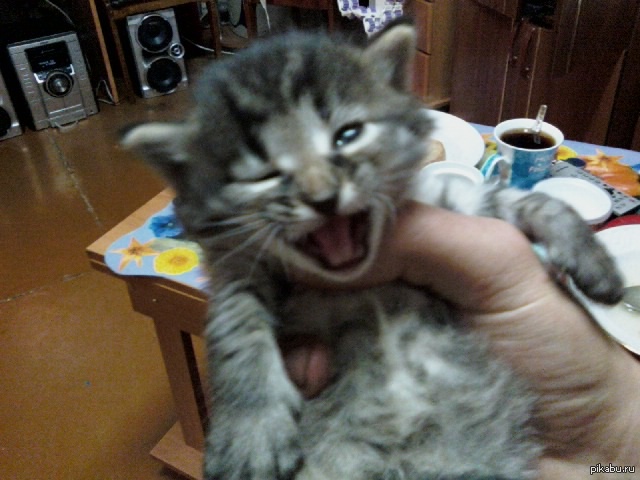 не откажите в помощи^^