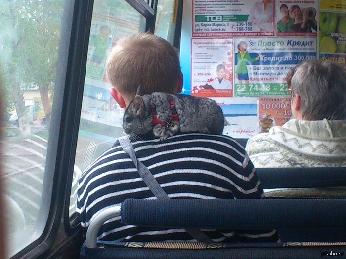 ��������� ��������