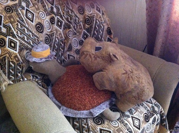 Я просто решила разложить подушки..