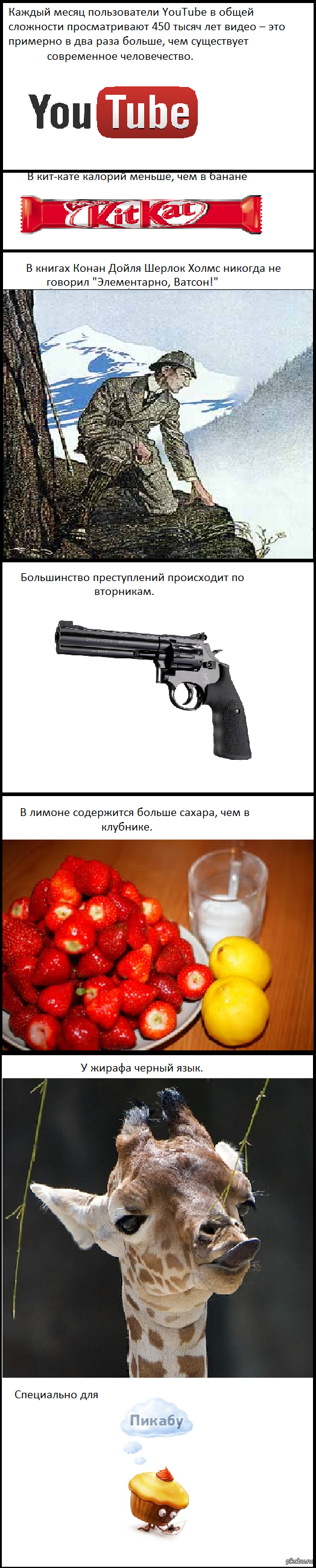 ���������� ����� 1 ����� ( ����������)