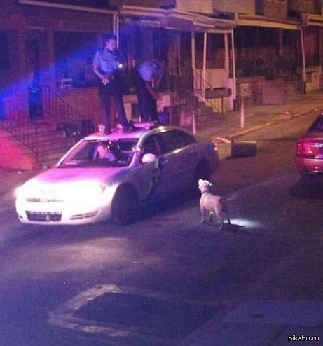 F8ck the Police!    