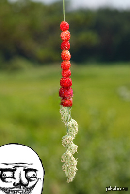 Вы тоже так делали? ))