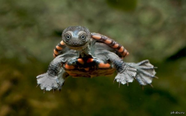 �������