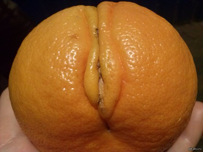 Even fruits hint that I need to find a girl) - NSFW, My, Grapefruit, 