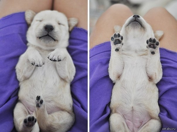 - ��� ����!   -�� ���� ���, ��� �������..