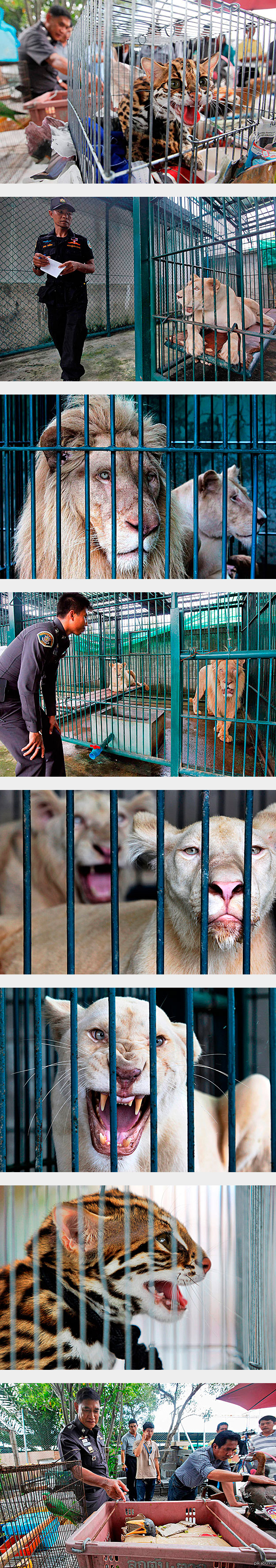 ����� ���������(���������, ����� ��������)