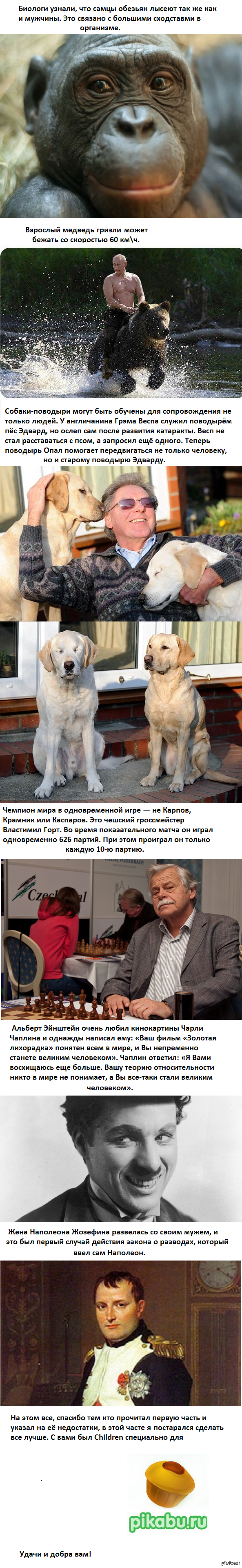 ���������� ����� ����� 2 (����������)