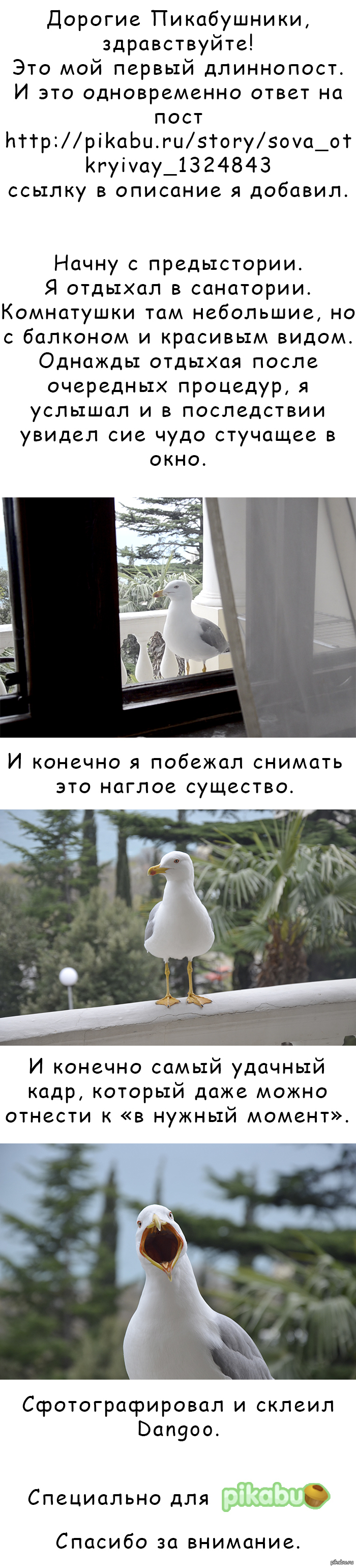     http://pikabu.ru/story/_1324843