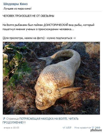 совсем крыша поехала?