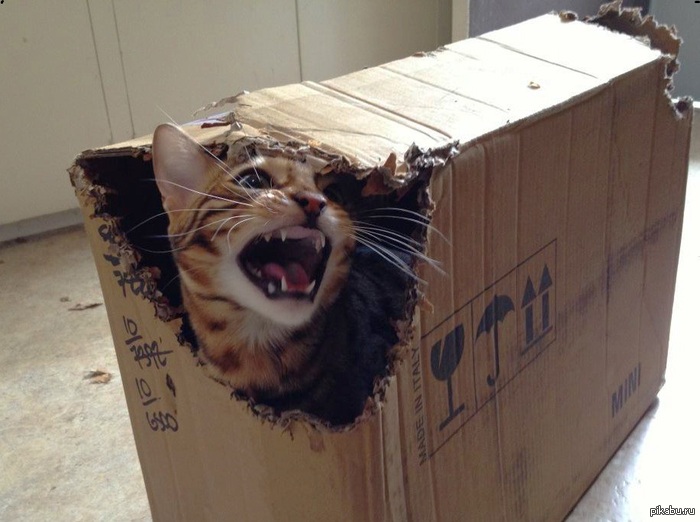 ����������� ���, ����������� �������