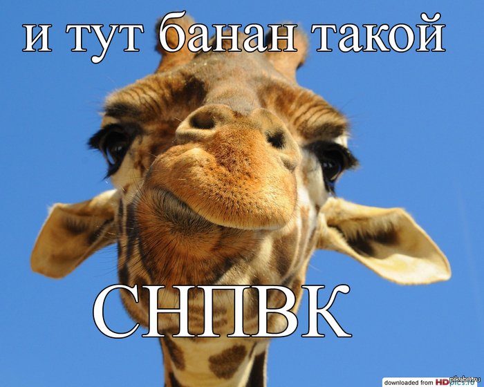 ����� ����