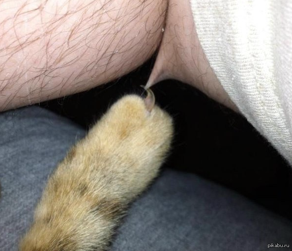 Ну давай, расскажи ему ...что такое настоящая боль.