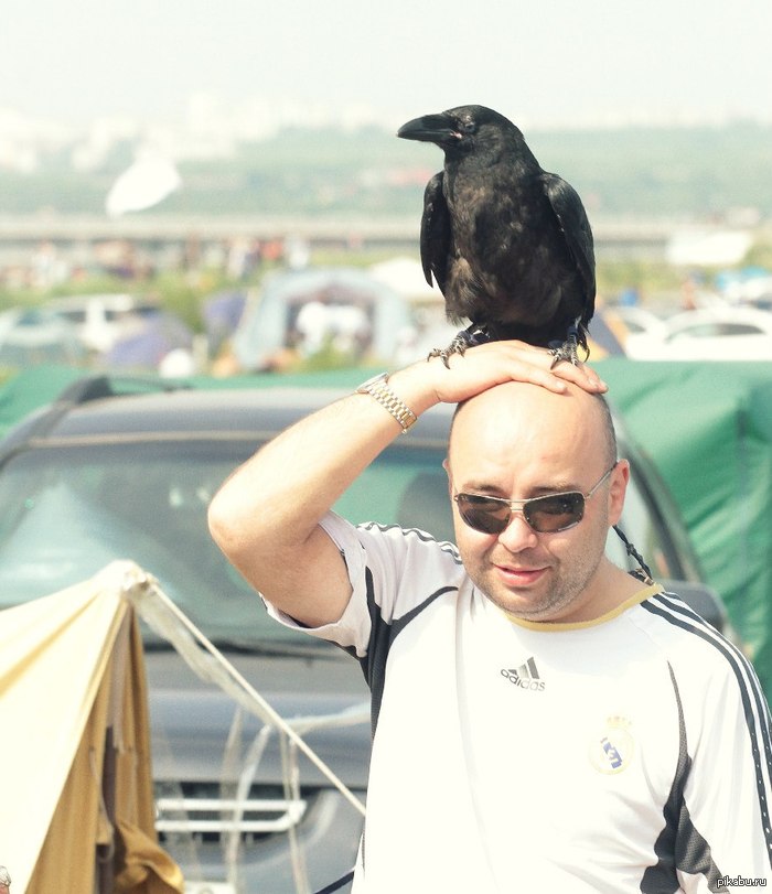 Рок над волгой