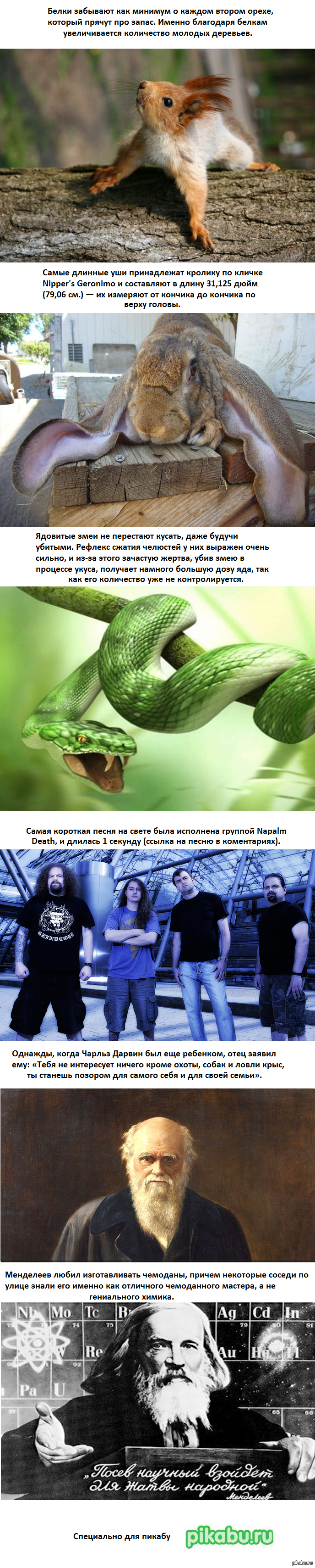 ���������� ����� 3 �����.