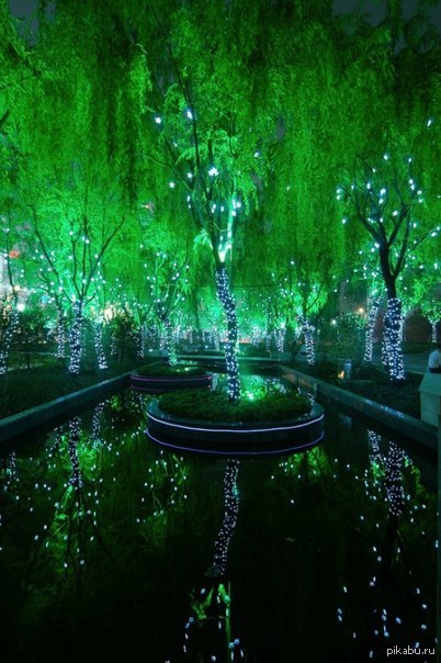 Magic Forest, Shanghai, China. - China, Forest, beauty