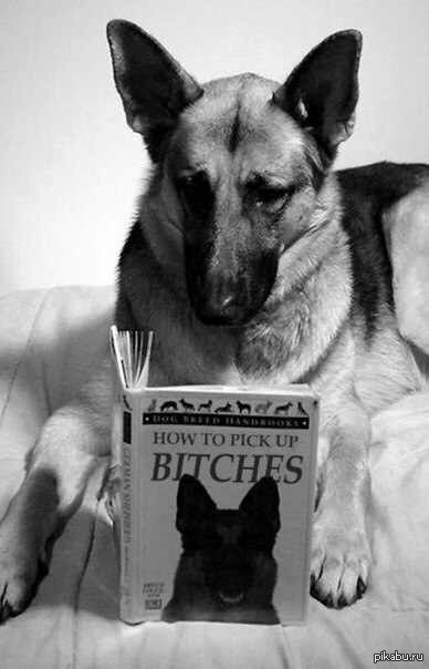 ����� ��� ������� ����� �������� =)