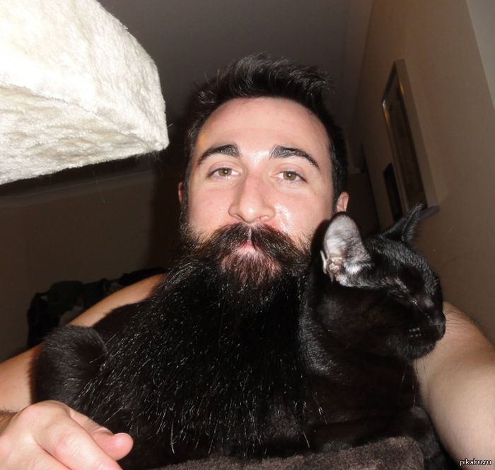Смешная борода. Бородатая кошка. Бородатый мужик с котом. Коты с бородой. Бородатый мужчина с котом.